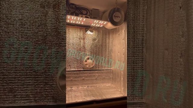 В100хД65хШ40 ГроуБокс 60W LED Qantum FR + IR + UV смотреть онлайн