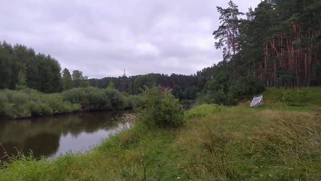 Дубки. Река Десна. Жуковка. Брянская область. смотреть онлайн