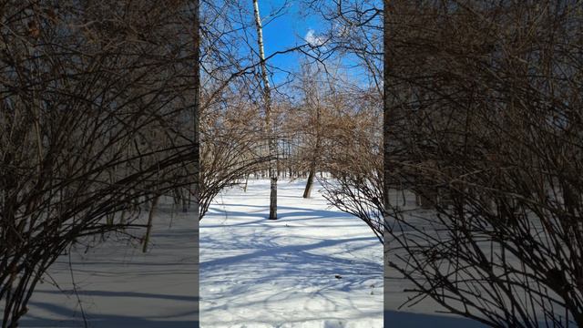 Весна, март день 12