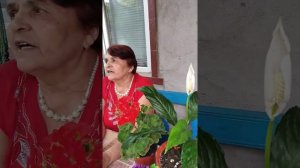 Ой ты север