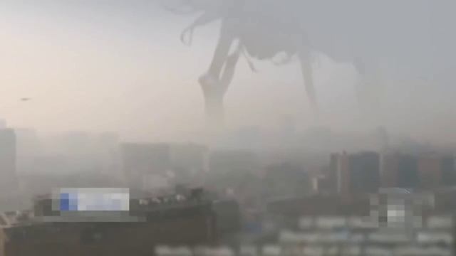 5 Неизвестных науке существ снятых на камеру.