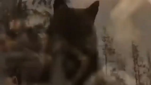 ?Клип Давай этот дым мы впустим прямо в воздух?