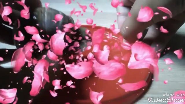 Мои виноградные улитки ?// Ёлочка TV ? смотреть онлайн