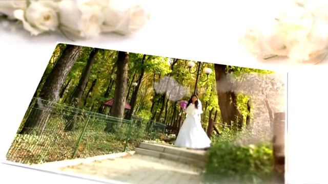 Студия свадебного видео"Алекс" Краснодар +79034114545 смотреть онлайн