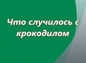 Что случилось с крокодилом. Мультфильм