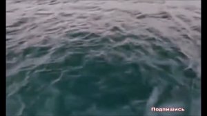 К чему снится ЧИСТАЯ ВОДА (ПРОЗРАЧНАЯ) | СОННИК