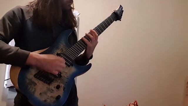 Improvised Riffs On My Schecter Reaper 7 Multiscale