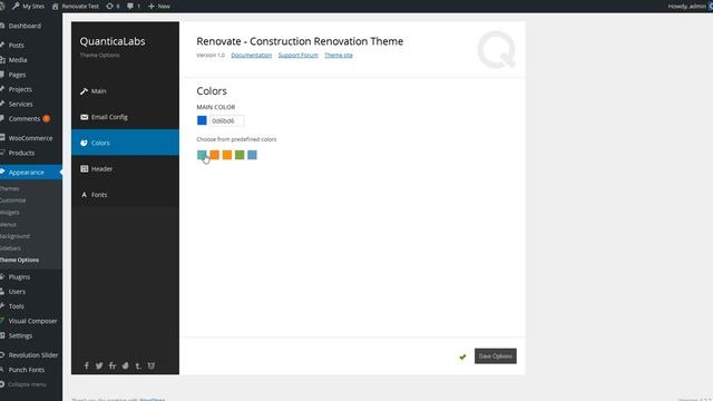 Renovate - Construction Renovation WordPress Theme: Set Theme Options смотреть онлайн