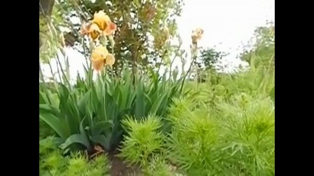 "ВЕСНА" Авторские стихи. смотреть онлайн