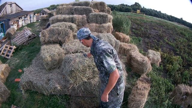СНОВА О СЕНЕ // НАШИ БУДНИ смотреть онлайн