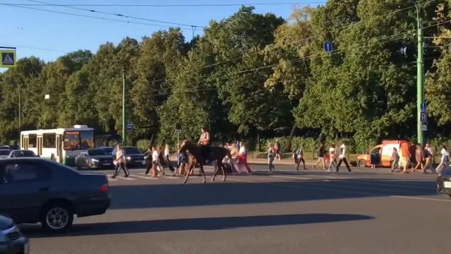 Уехали с подругой на неделю в Питер | спонтанная поездка в Санкт-Петербург | гуляем по Питеру смотреть онлайн
