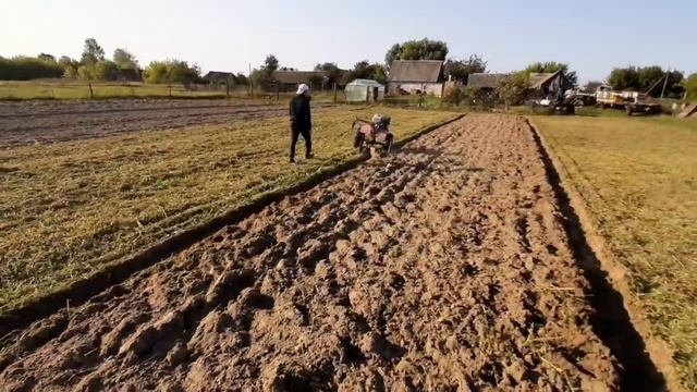 пашем сидераты мотоблоком. самодельная сцепка+ плуг.пашем легко