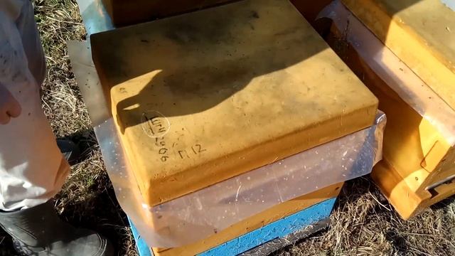 Обработка против клещей