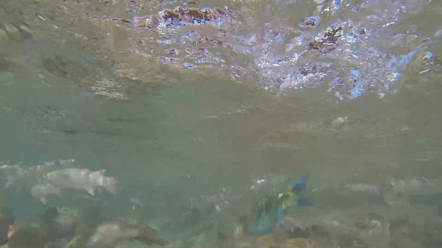 Египет 2015 GoPro смотреть онлайн