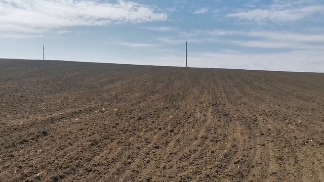 Мтз 892 и мтз 82 предпосевная культивация.