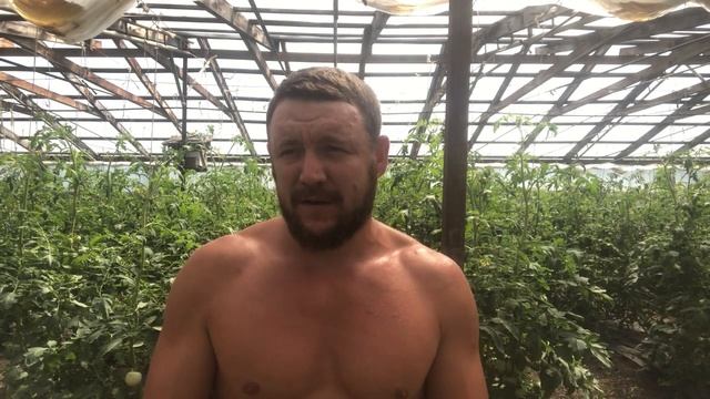 Завязь четвёртой кисти. смотреть онлайн