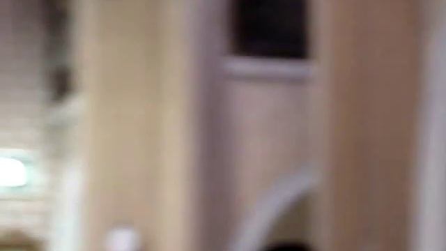 Минск. Костёл святых Симеона и Елены. Фрагмент мессы. смотреть онлайн