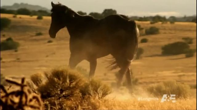 Longmire, The Great Spirit (clip) смотреть онлайн