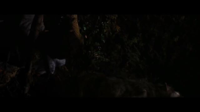 Twilight Wolf Scenes