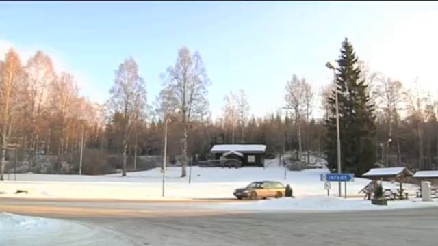 Vargvarning смотреть онлайн