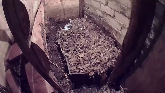 Вермикомпостер ЛОДЫРЬ. Выманивание червей из компостера непрерывного действия для заселения в бурты смотреть онлайн