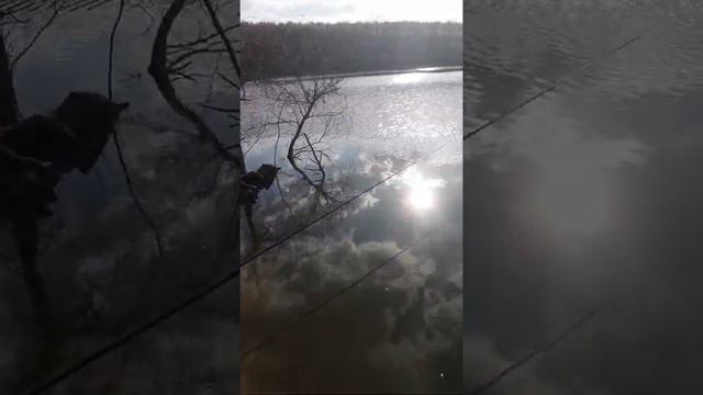 Триозерье 21 04 2019 смотреть онлайн