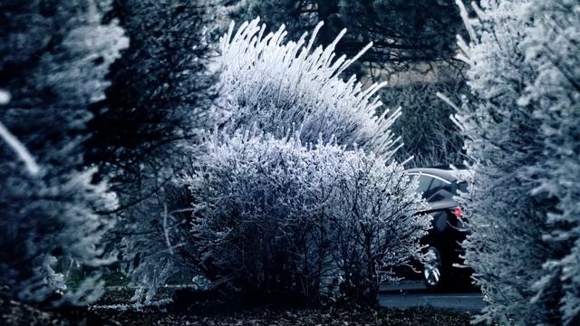 Когда, чем и как посевать на Старый Новый год. смотреть онлайн