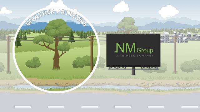 NM Group Vegetation Analytics - Machine Learning led predictive analytics for vegetation management смотреть онлайн