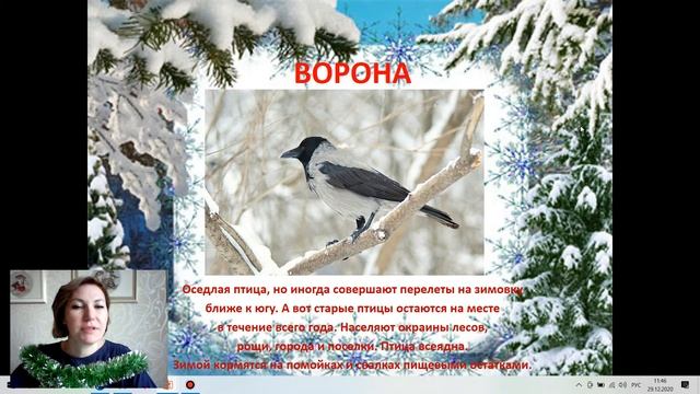 Занятие №26. Покормите птиц зимой смотреть онлайн