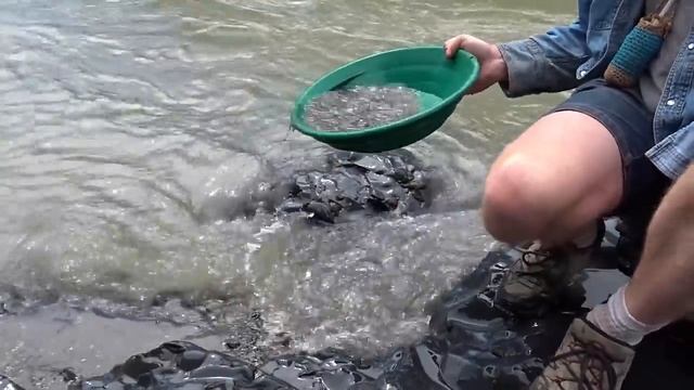 Finding Nuggets with the Gear Pan. смотреть онлайн