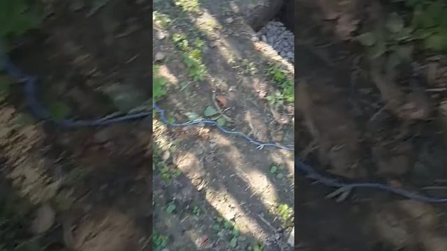 ФУНДАМЕНТ ИЗ БЛОКОВ под баню смотреть онлайн