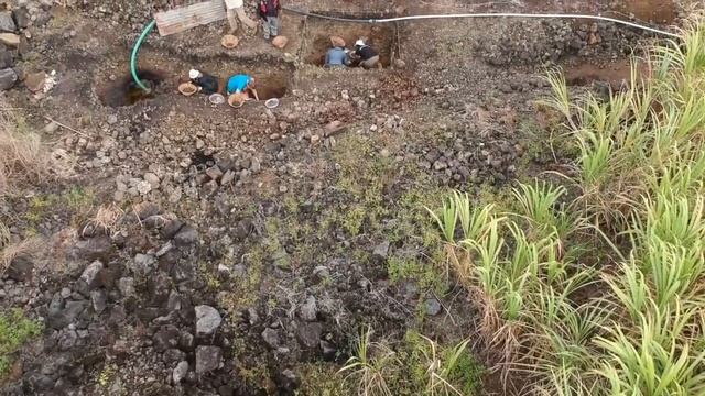 New Dodo excavation site on Mauritius смотреть онлайн