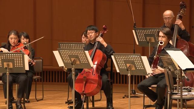 Johann Strauss Vater : Kettenbrücken-Walzer смотреть онлайн
