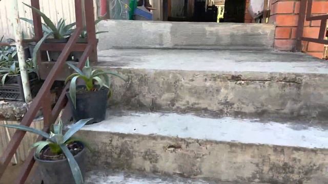 50 квартир за 100.000.000 смотреть онлайн