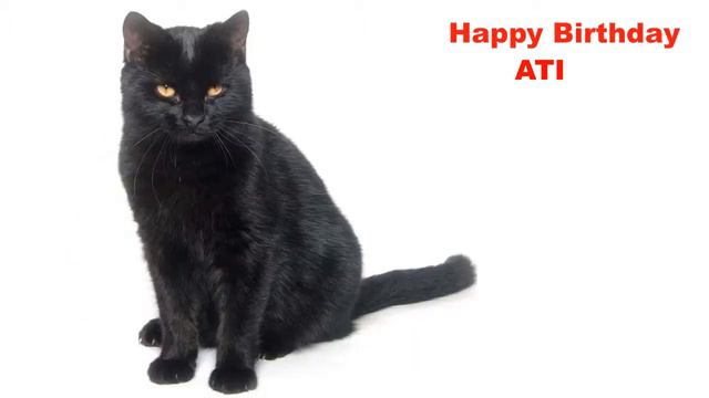 Ati Cats Gatos - Happy Birthday смотреть онлайн