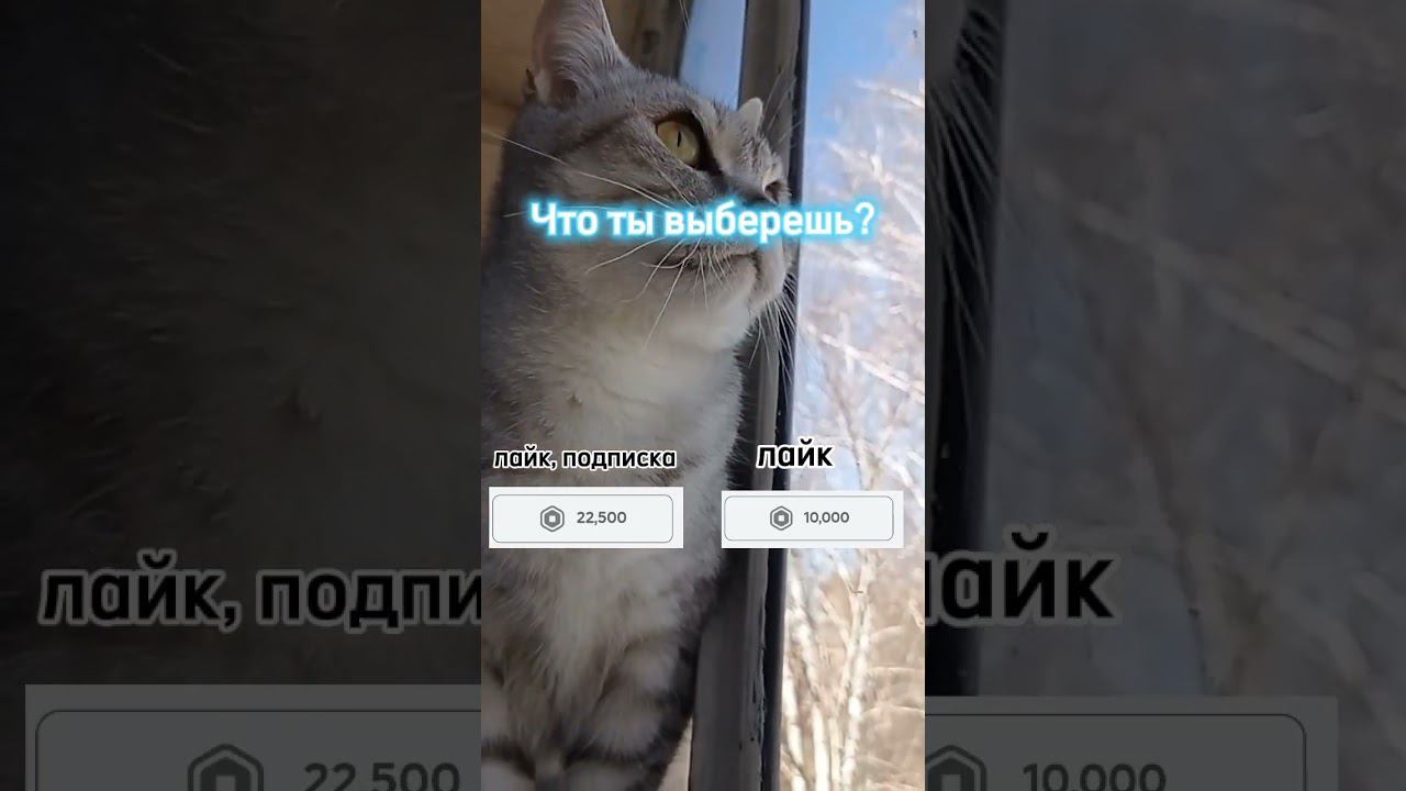 #shorts #sounds #recommended #4k #4kvideo #беззвука #интересно #2024 #нг #имялуна #games #proof смотреть онлайн