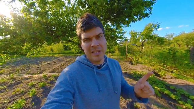 Ощущения на гимнастических ремнях! Тренирую 6 День элемент крест. смотреть онлайн