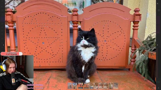 Фиспект показывает фото с моря смотреть онлайн