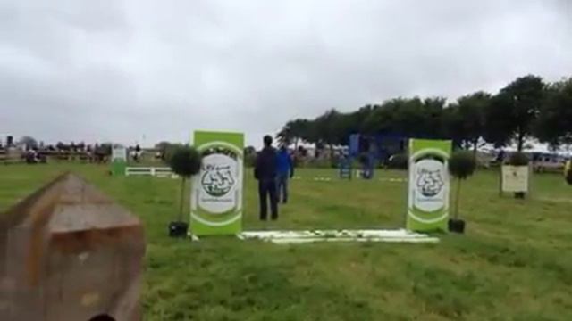 Ereronde Pion nationaal jonge pony's 31/5/'15 смотреть онлайн