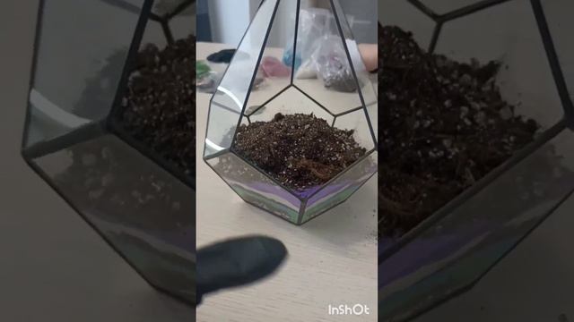 Florarium How to make смотреть онлайн