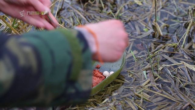 CARP FISHING TIPS NASH JACK BROWN GRAND UNION CANAL CARPING MAGMA GLUGS CLING-ON LEADER смотреть онлайн