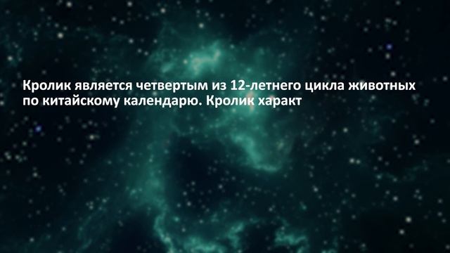 НОВЫЙ ГОД 2023: какое животное является его символом и чего ждать от следующего года