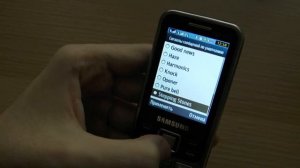 SAMSUNG GT-C3322i - 8 лет спустя, самый подробный обзор