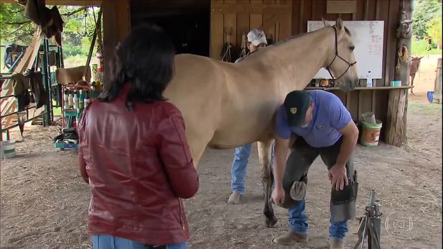 Como escolher o TAMANHO certo da FERRADURA do Cavalo 🐴 смотреть онлайн