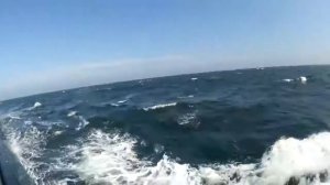 РЫБАЛКА В СЕВЕРНОМ МОРЕ НА КОРАБЛЕ ГААГА