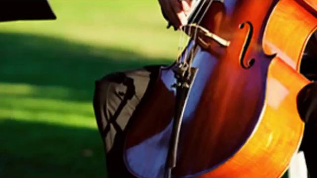 Pianista e violoncellista Cremona смотреть онлайн