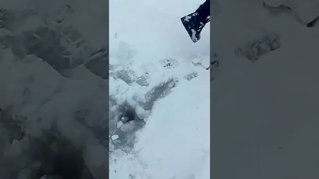 Ловля на жерлицы зимой. на налима 2017 смотреть онлайн