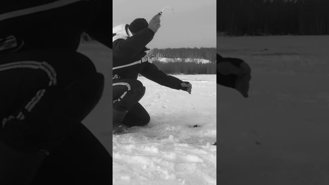 Чудо снасть на ротана #ротан #снастьротан #рыбалкакстово #первыйлёд смотреть онлайн