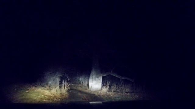 Ночная ловля налима на куриную печень (1 серия) смотреть онлайн