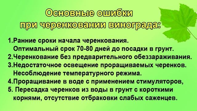 Черенкование винограда. Основные ошибки. смотреть онлайн